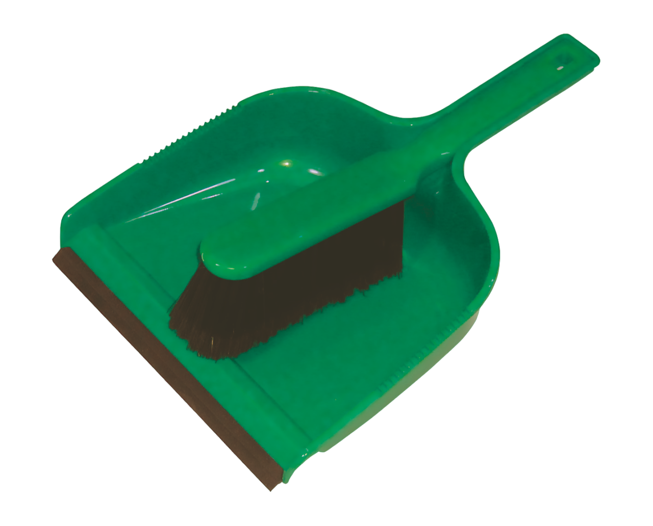 Dustpan & Brush Set Green