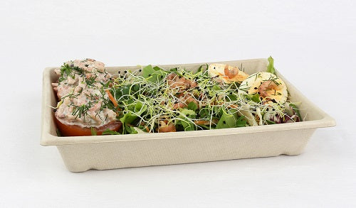 Case of 300 750ml Pulp Rectangular Pagoda Tray