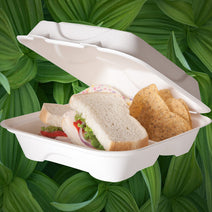Large Bagasse Clamshell Containers - ECatering Essentials