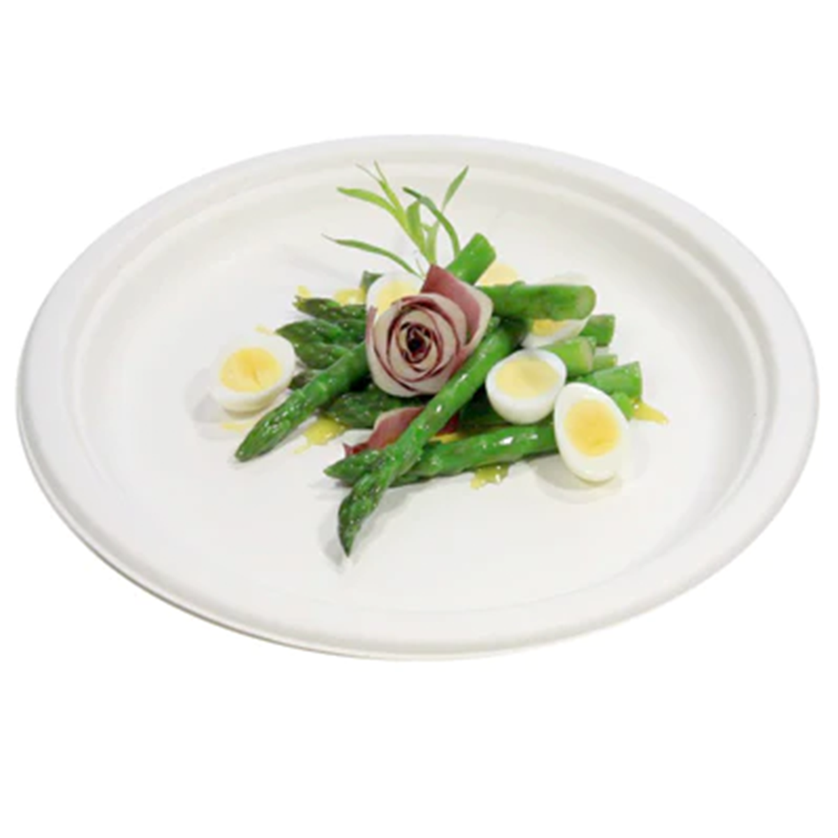9 inch Sugarcane Plates