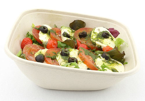 Case of 300 750ml Pulp Slope Bowls