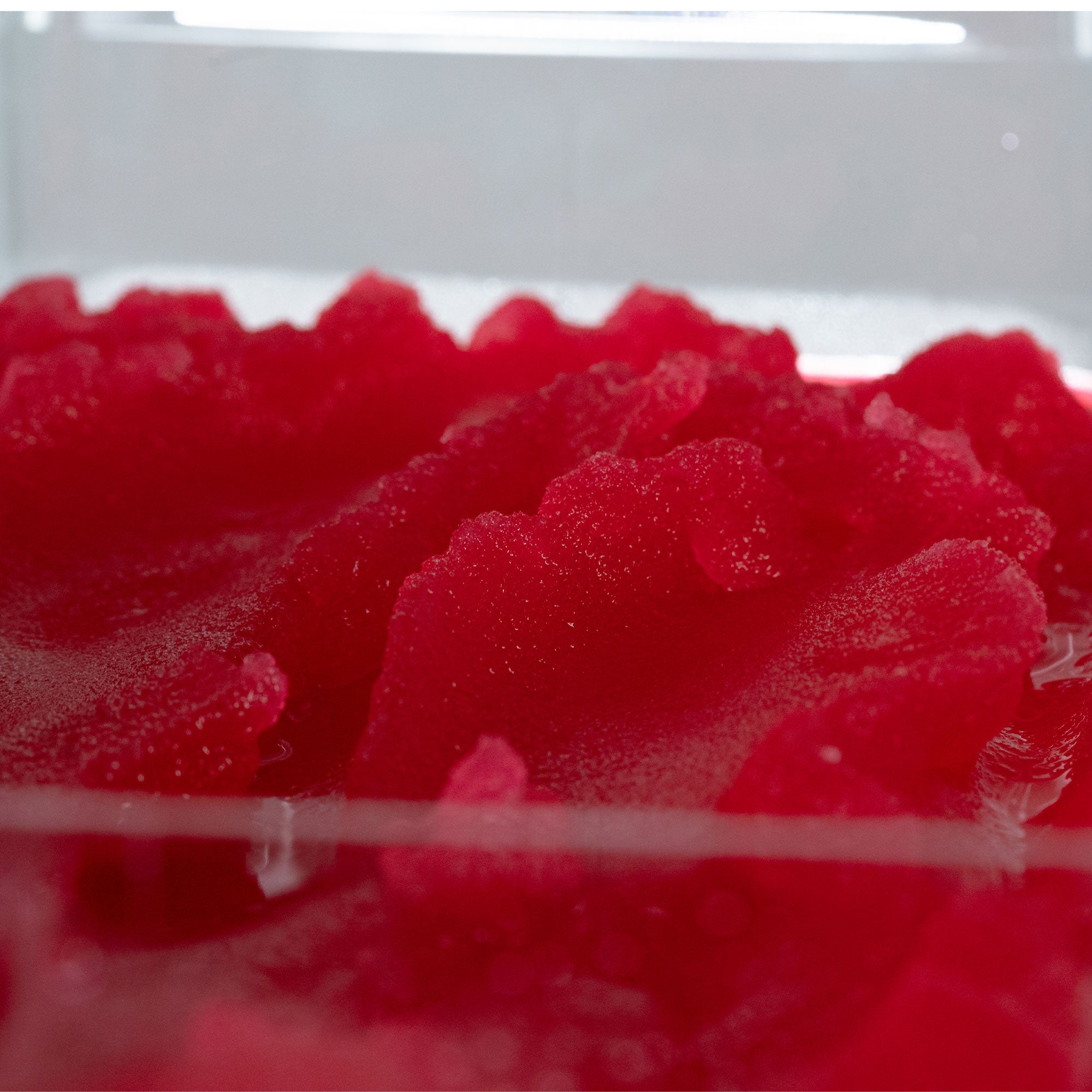 Slush Syrup - Strawberry 2 x 5Ltr