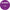 25mm Circle Purple Allergen Fish Label - ECatering Essentials