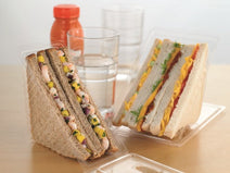Standard Plastic Sandwich Containers - ECatering Essentials