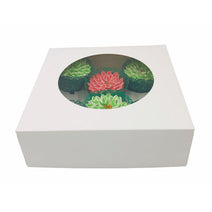 6 cupcake boxes - GM Packaging UK Ltd