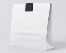 Case of 250 Small White Takeaway Bags NO HANDLES
